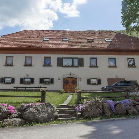 Villa Turisticna Kmetija Toman Gornji Grad Exterior foto